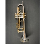 Taishan Winds Bb Trumpet, Silver