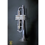 JinYin A698 Bb Trumpet, Silver