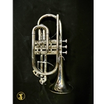 Taishan Winds Bb Cornet, Silver