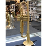 Taishan Winds Bb Trumpet, Gold Matte Finish
