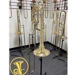 Thein "Brian Hecht" Bass Trombone