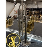 B&S 3137/2PCL Phil Cobb Challenger II