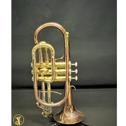 JinBao Bb Cornet