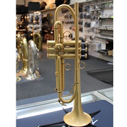 Taishan Winds Bb Trumpet, Gold Matte Finish